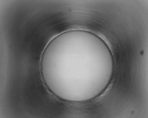 X0000103441089200809121055