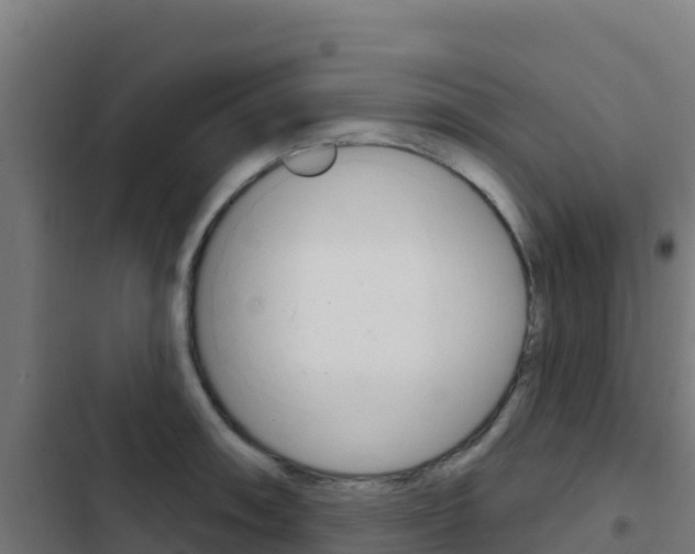 X0000103441090200809121055