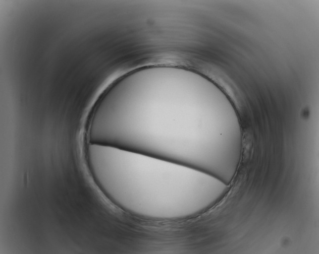 X0000103441091200809121055