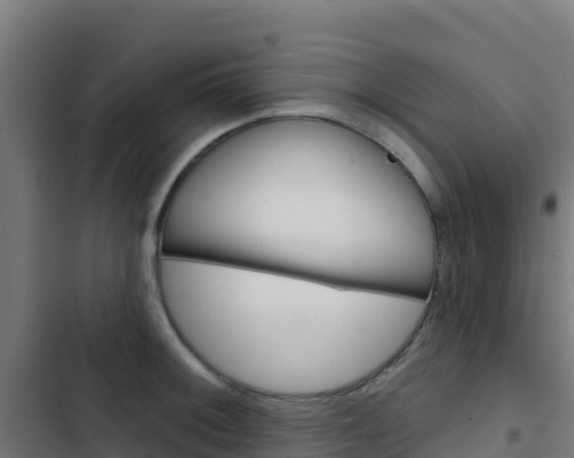 X0000103441092200809121055
