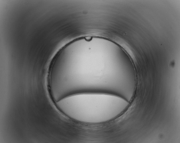 X0000103441093200809121055