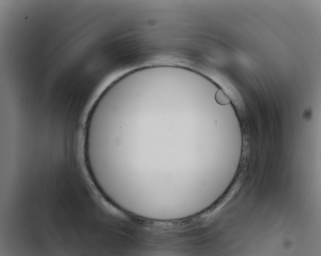 X0000103441094200809121055