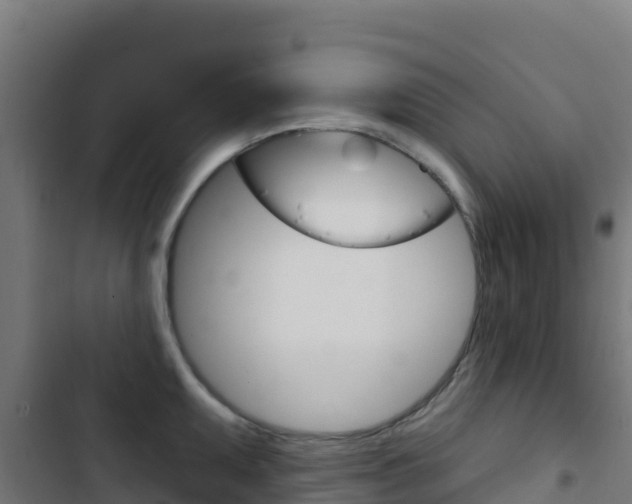 X0000103441095200809121055