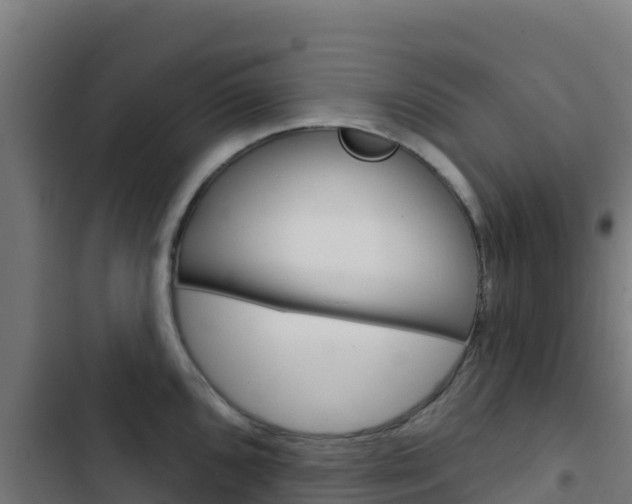 X0000103441096200809121055