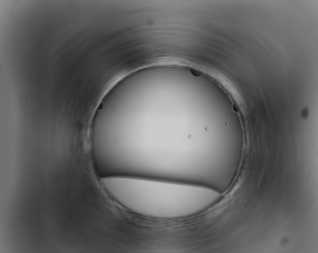 X0000103441097200809121055