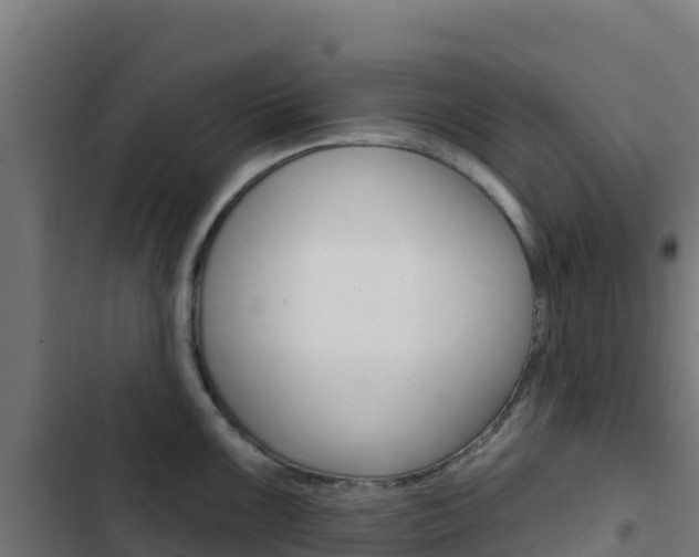 X0000103441099200809121055