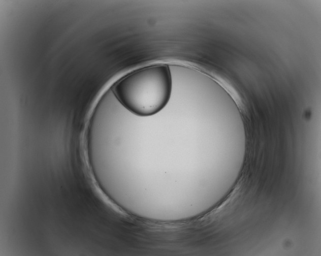X0000103441100200809121055