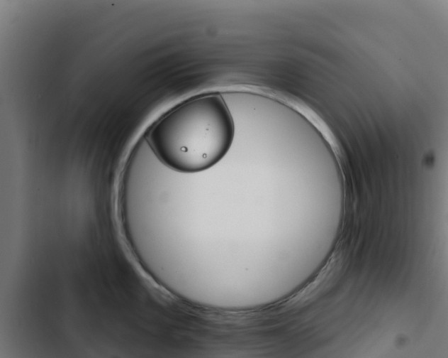 X0000103441101200809121055