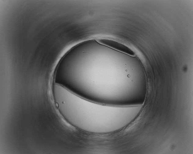 X0000103441102200809121055