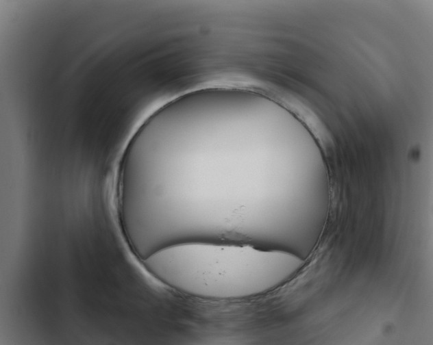 X0000103441103200809121055