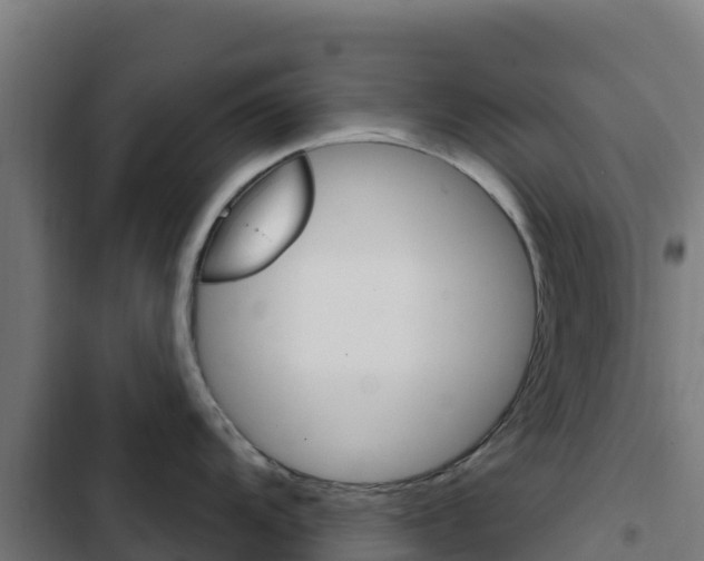 X0000103441104200809121055