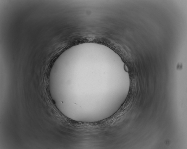 X0000103441105200809121054
