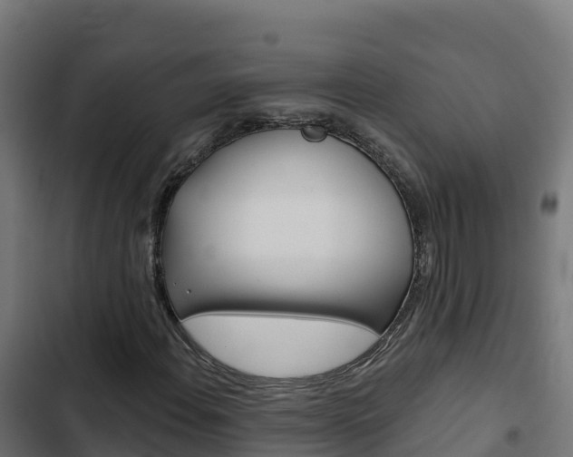 X0000103441108200809121054