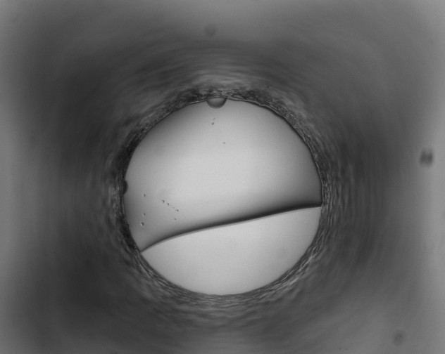 X0000103441109200809121054