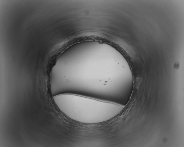 X0000103441111200809121054