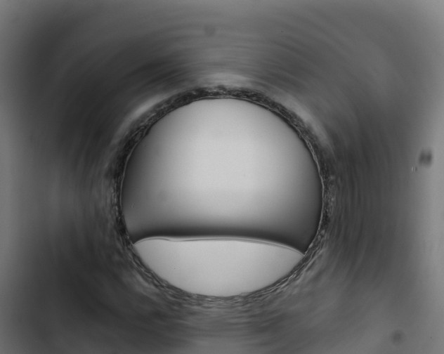 X0000103441112200809121054