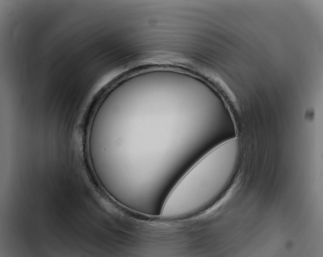 X0000103441114200809121054