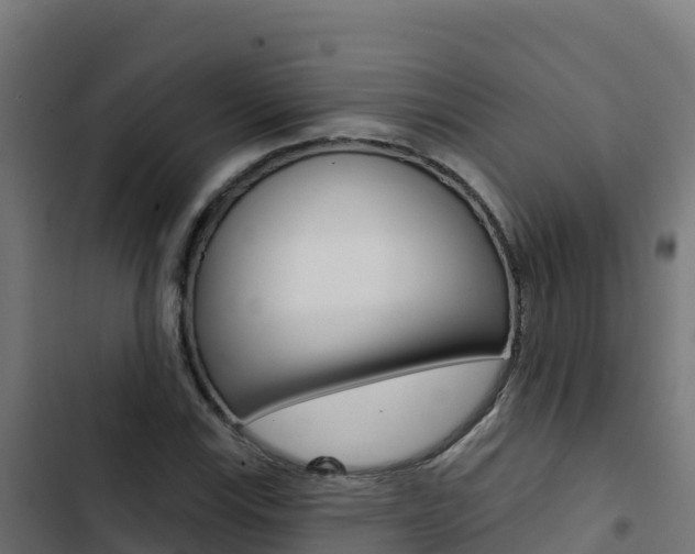 X0000103441115200809121054