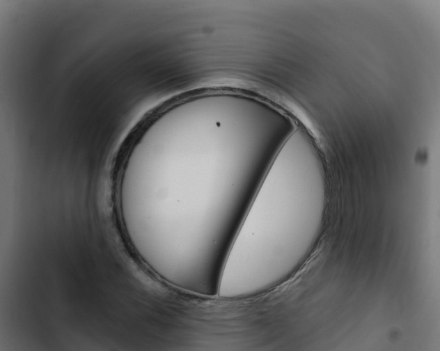 X0000103441116200809121054