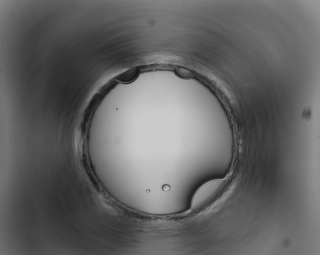 X0000103441117200809121054