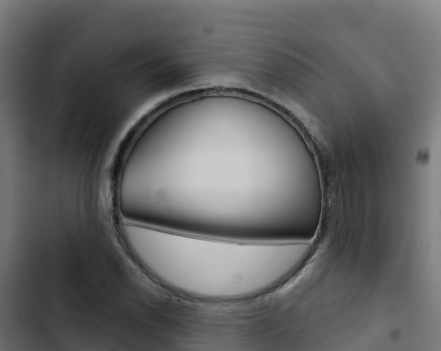 X0000103441118200809121054