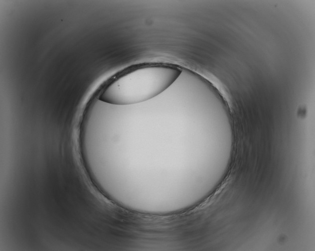 X0000103441120200809121054