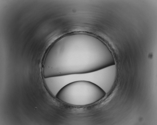 X0000103441121200809121054
