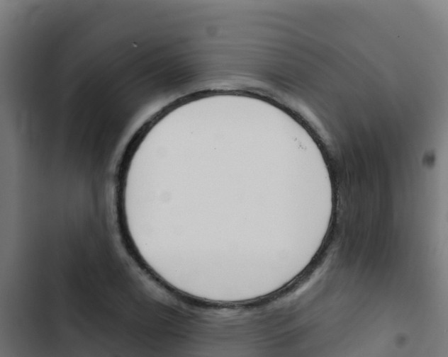 X0000103441122200809121054