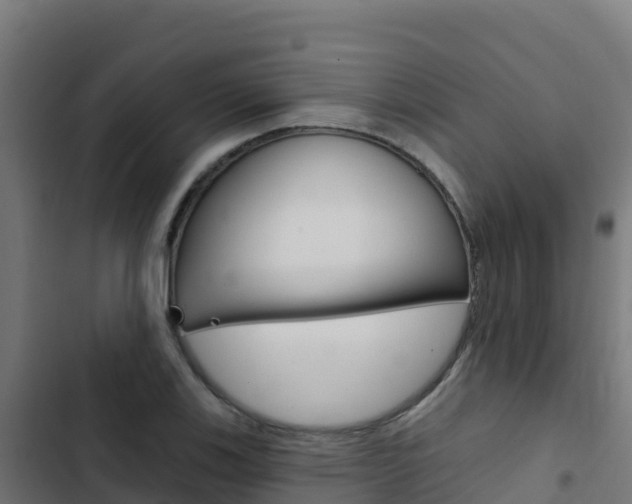 X0000103441123200809121054