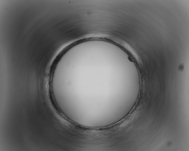 X0000103441124200809121054