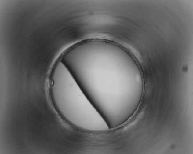 X0000103441125200809121054