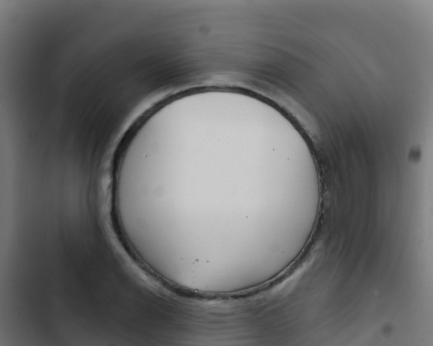 X0000103441126200809121054