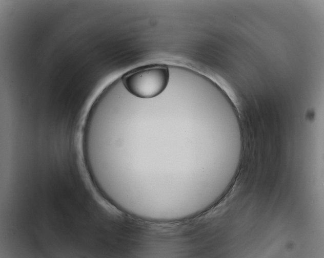 X0000103441128200809121054
