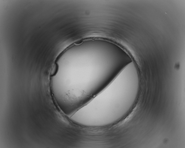 X0000103441129200809121054