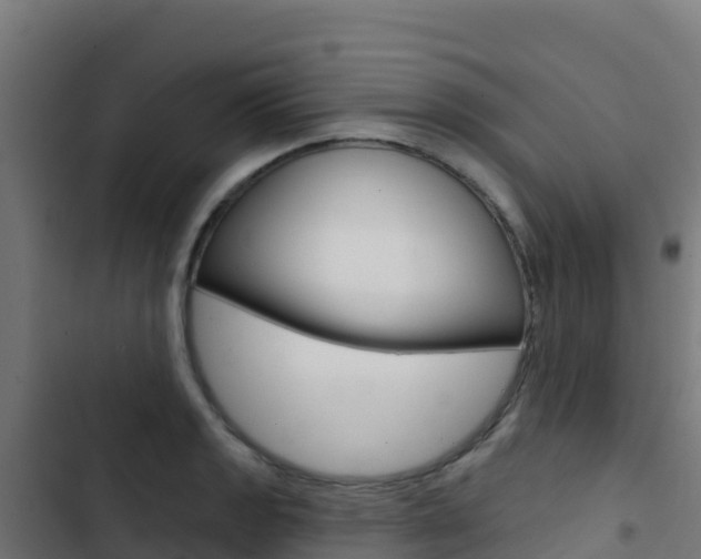 X0000103441133200809121054