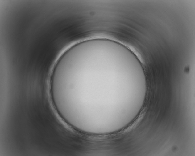 X0000103441134200809121054