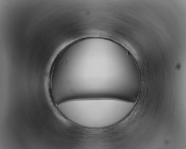 X0000103441136200809121054