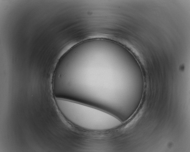 X0000103441137200809121054