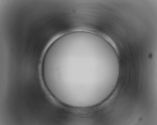 X0000103441138200809121054