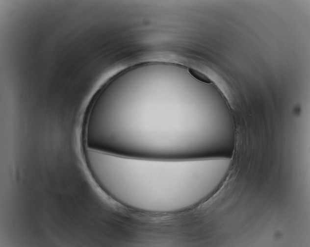 X0000103441139200809121054