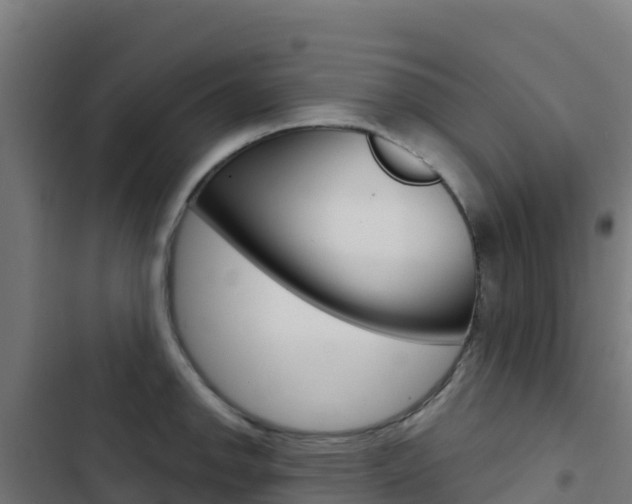 X0000103441142200809121054