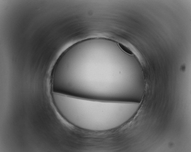 X0000103441143200809121054