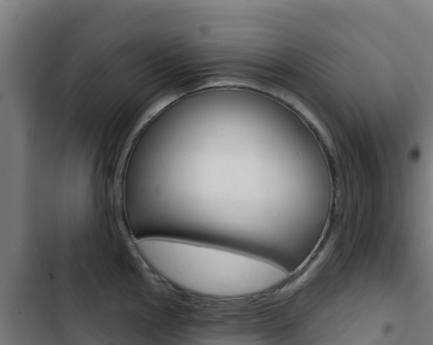 X0000103441145200809121054