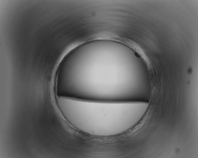 X0000103441146200809121054
