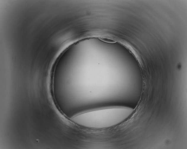 X0000103441147200809121054