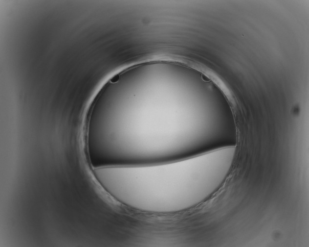 X0000103441148200809121054