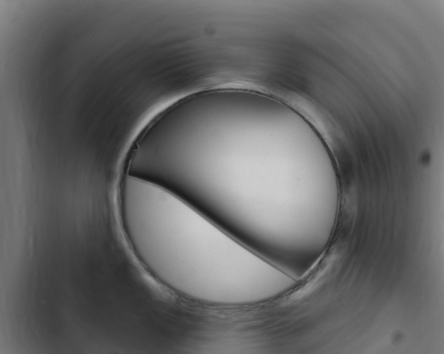 X0000103441149200809121055