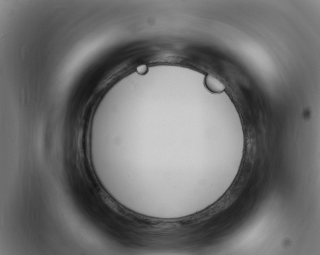 X0000103441150200809121055