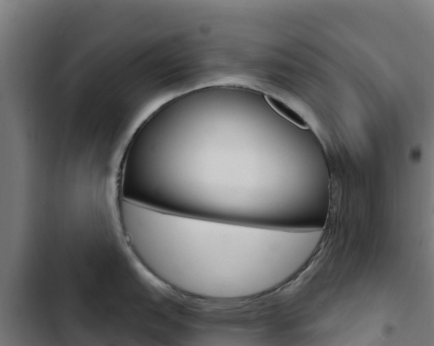 X0000103441151200809121055