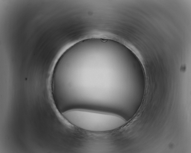 X0000103441152200809121055